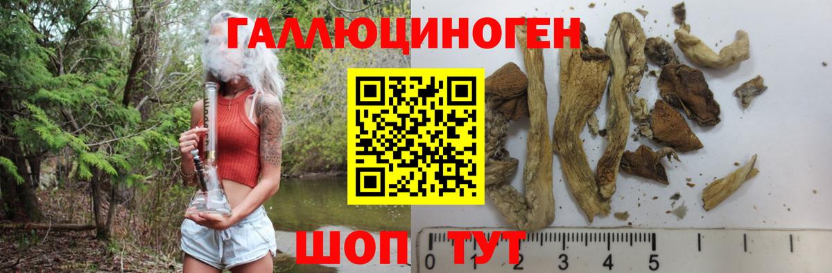 Галлюциногенные грибы Psilocybe  Вход с VPN  как найти закладки  Гулькевичи 
