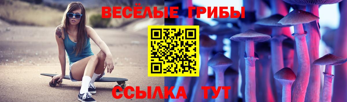 Галлюциногенные грибы GOLDEN TEACHER Гулькевичи